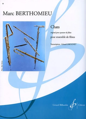 Chats Visuel